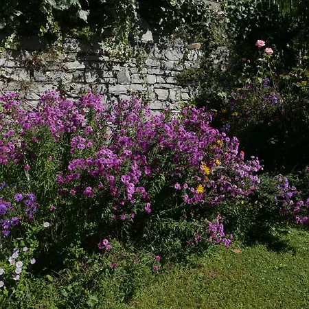 La Casa Degli Oleandri *