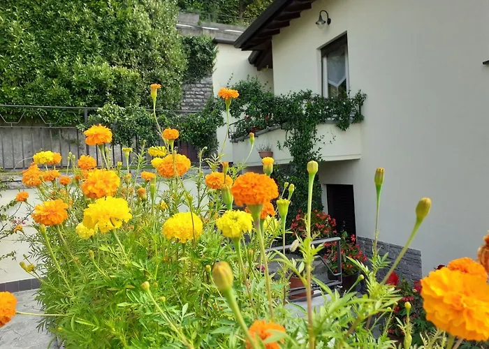 Vakantiehuis La Casa Degli Oleandri *