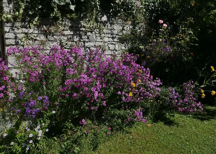 La Casa Degli Oleandri *